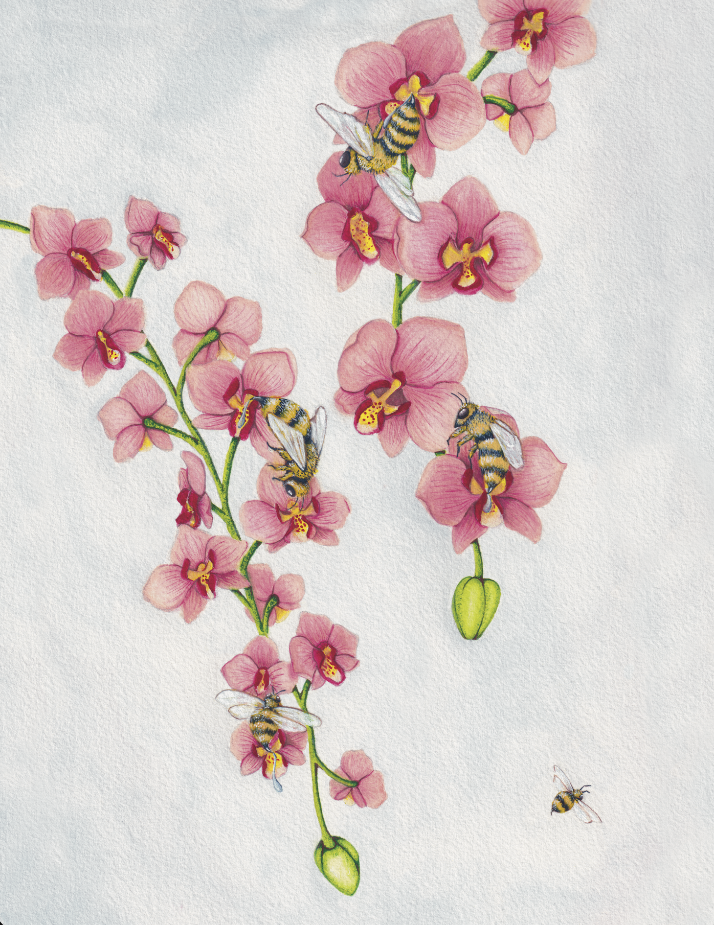 String of Love - 8x10 inches print by Stephenie Anderson