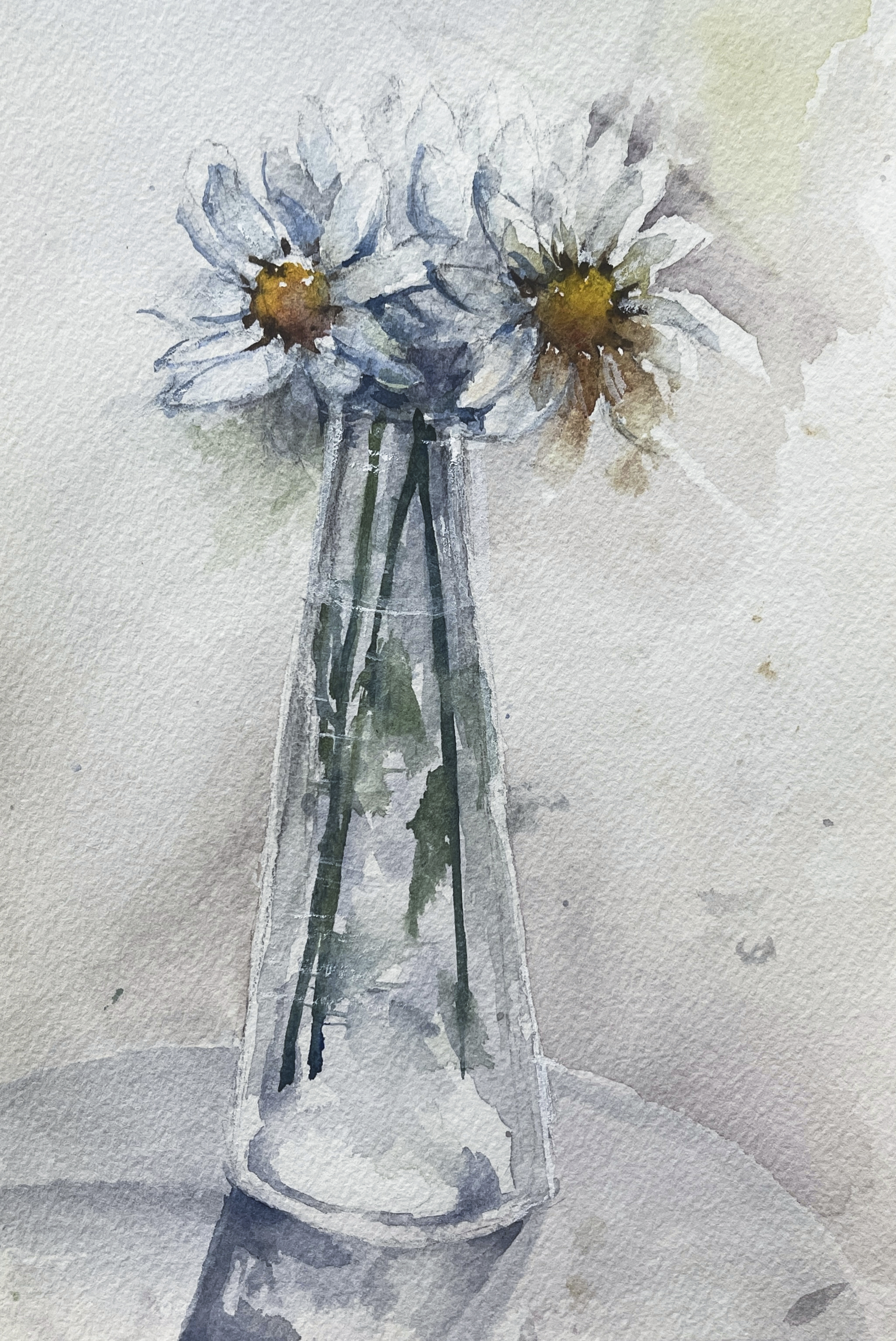 A Vase of Light